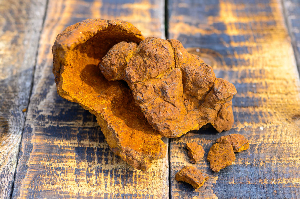 Are Mushrooms Bad for Your Heart? A Deep Dive into Chaga Mushroom Supplements